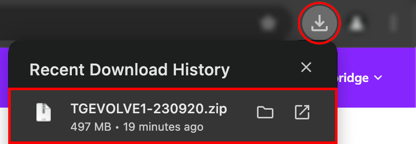 Screenshot showing the menu with file name after clicking the downward-facing arrow in the top right corner