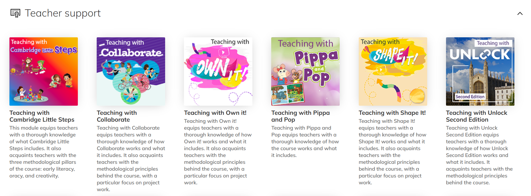 Screenshot showing the 'Teacher Support' section