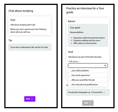 Screenshot of activity pages in the speaking companion