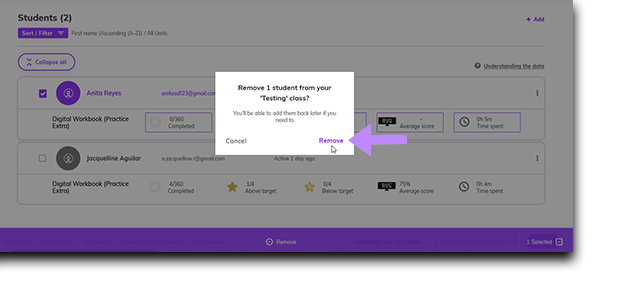 Screenshot highlighting the 'Remove' button